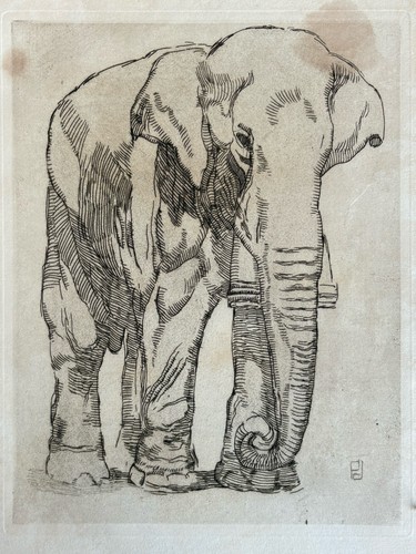 Paul jouve gravure - gravure, forte