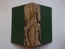 DIVINITE DE FREDERIC