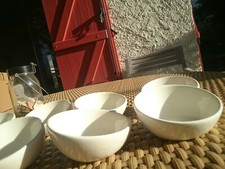 8 Petits Bols (Little Spoon) Royal Boch