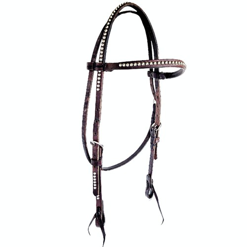 Bridon cuir avec clous - avec,