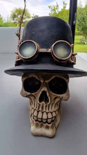 Crane avec chapeau steampunk - chapeau,