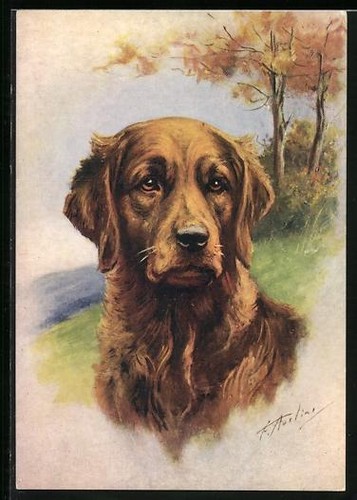 Carte postale golden - postale,