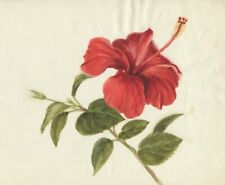 Fleur d'Hibiscus - Aquarelle