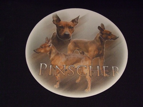 Tapis souris pinscher - tapis,