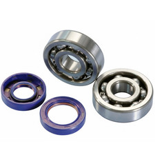 Kit Polini Roulements