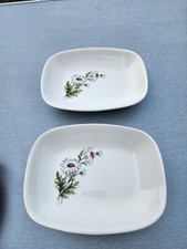 Lot 2 assiettes rectangulaires