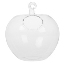  Terrarium En Verre De Table