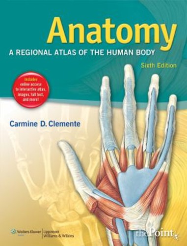 Anatomie atlas régional - anatomie,