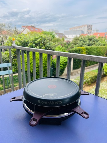 Tefal richesmonts raclette - tefal,