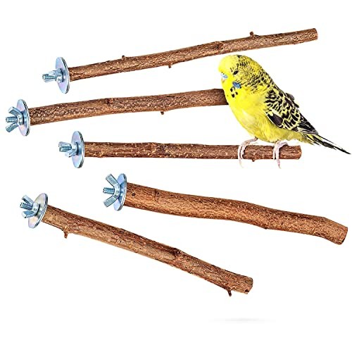 Perchoir perroquet bois - 5,