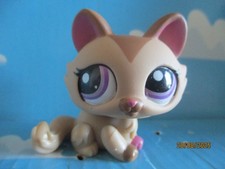 PETSHOP CHAT SPHYNX N°1584