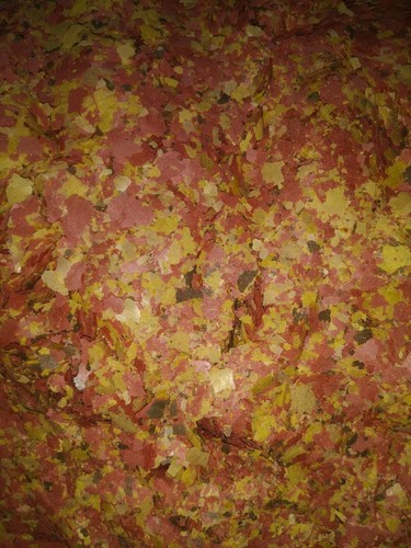 Energy flake food flocons tous - energy,