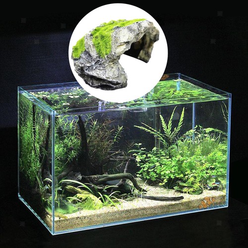 Reptile hide grotte - hide, habitat