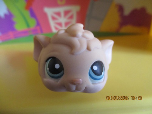 Petshop cochon inde - petshop, #157/