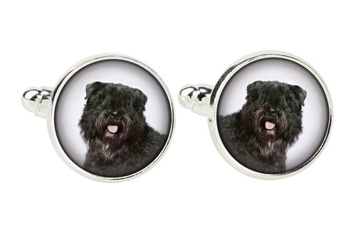 Bouvier des flandres - des, épingle