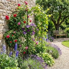 Jardin Terrasse Pergola