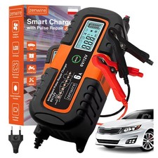 Chargeur de batterie 6V/12V