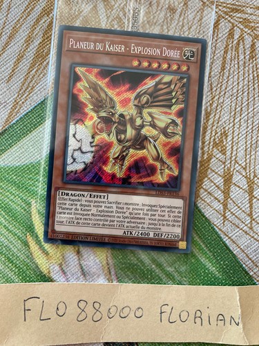 Yugioh planeur kaiser - yugioh,
