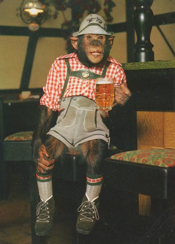Prost schimpanse affe - ak,