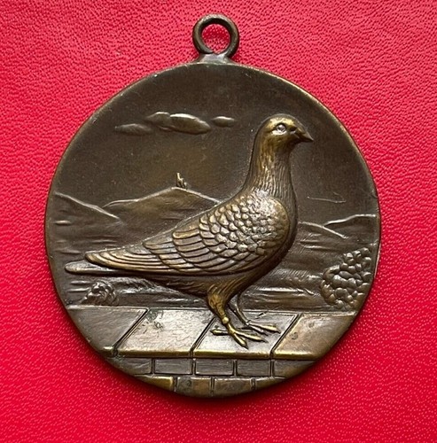 Belle médaille colombophilie