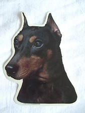 GRAND AUTOCOLLANT  - motif