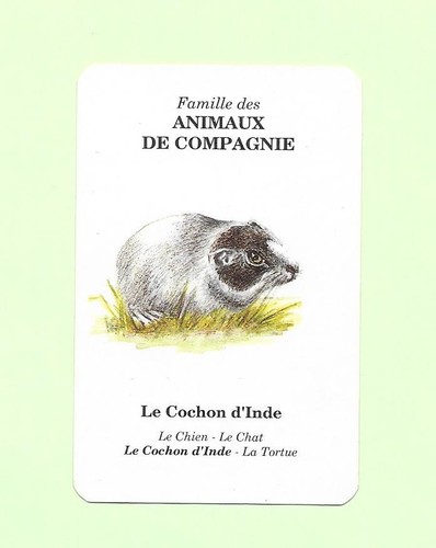 Carte elf antar - carte, animaux