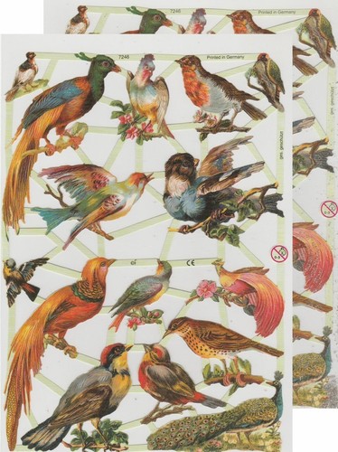 Chromo découpis oiseau - découpis,