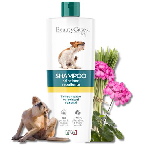 Beauty case shampooing - beauty,
