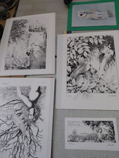 SERVAIS Jean-Claude 5