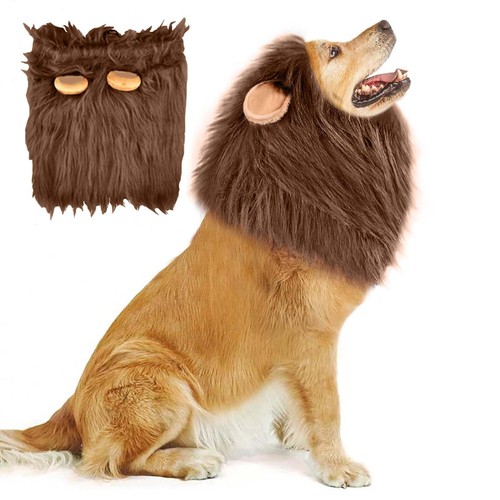 Deguisement chien perruque - deguisement,