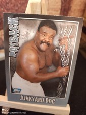 Junkyard dog - Payback 2006 -