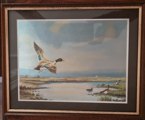 Tableau foil art canards - foil,