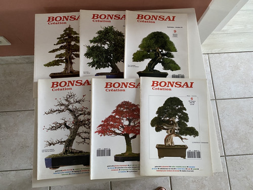 Bonsai création collection - bonsai,