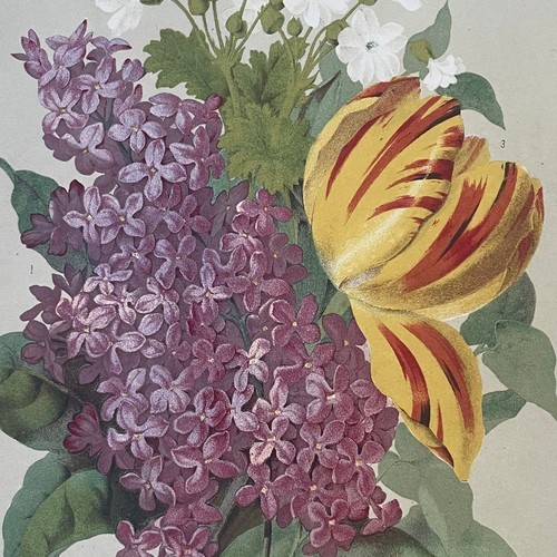 Chromolithographie originale - chromolithographie,