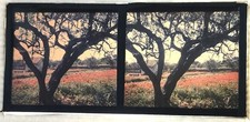 AUTOCHROME PAYSAGE E  VUE