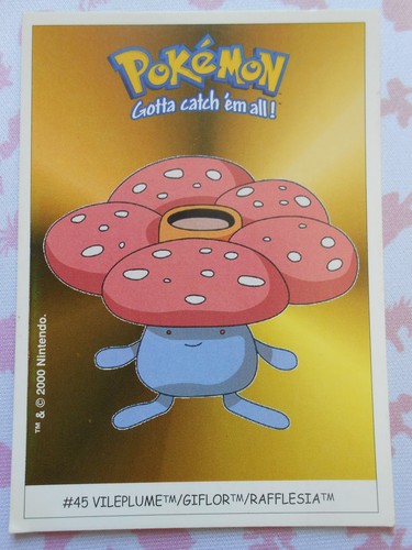 Rafflesia vileplume 45 - rafflesia,