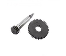 Engrenages Rapport Primaire