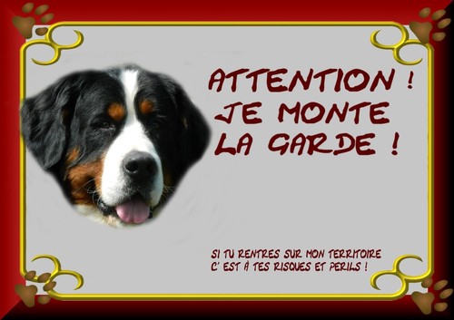 Plaque garde bouvier - de,