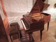 Superbe piano Pleyel modèle F