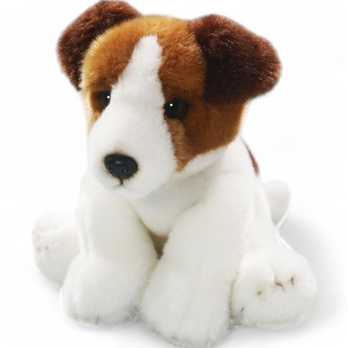 Carl dick jack russel - jack,