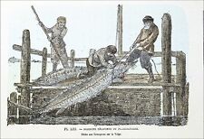 RUSSIA - STURGEON FISHING (CAVIAR) on the VOLGA in the 19th - 19th color engraving