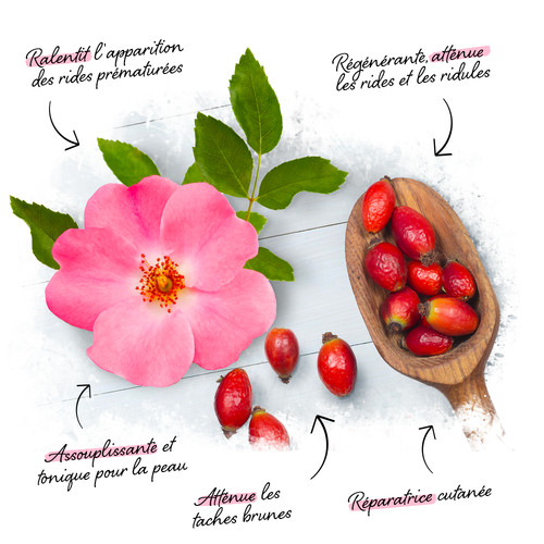 Huile pépins rose - huile,
