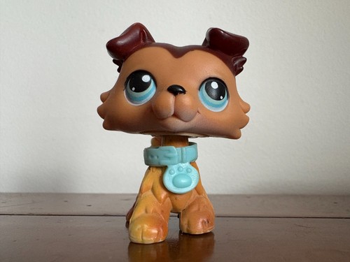 Petshop colley bis - colley,