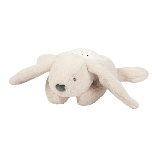 Veilleuse led koala bear - koala,