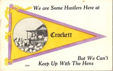 Beebe Quebec W.R. Howie Ad Eggs Exaggeration Pennant Flag Hens Crockett Postcard