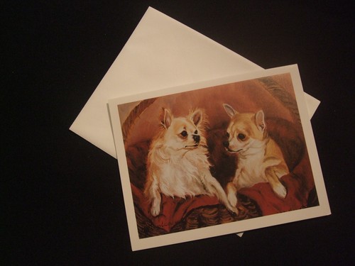Lot cartes enveloppes - 6,
