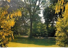 Carte Postale - 62 - Carvin -