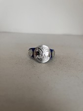 WWE Ceinture De Championnat