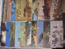 NESTLE WONDERS OF THE WORLD POSTCARDS - 44 - between 178 and 337