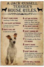 Jack Russell Metal Sign (House